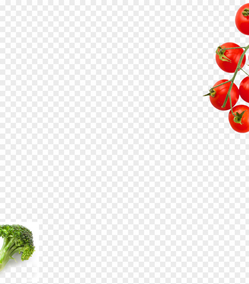 Strawberry Floral Design Petal PNG