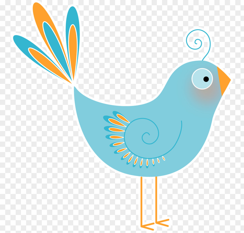 Bird Desktop Wallpaper Clip Art PNG
