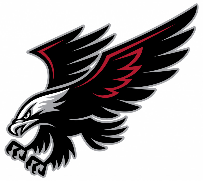 Blackhawks Logo Cliparts Williams Field High School Student Campo Verde Higley Unified District Middle PNG