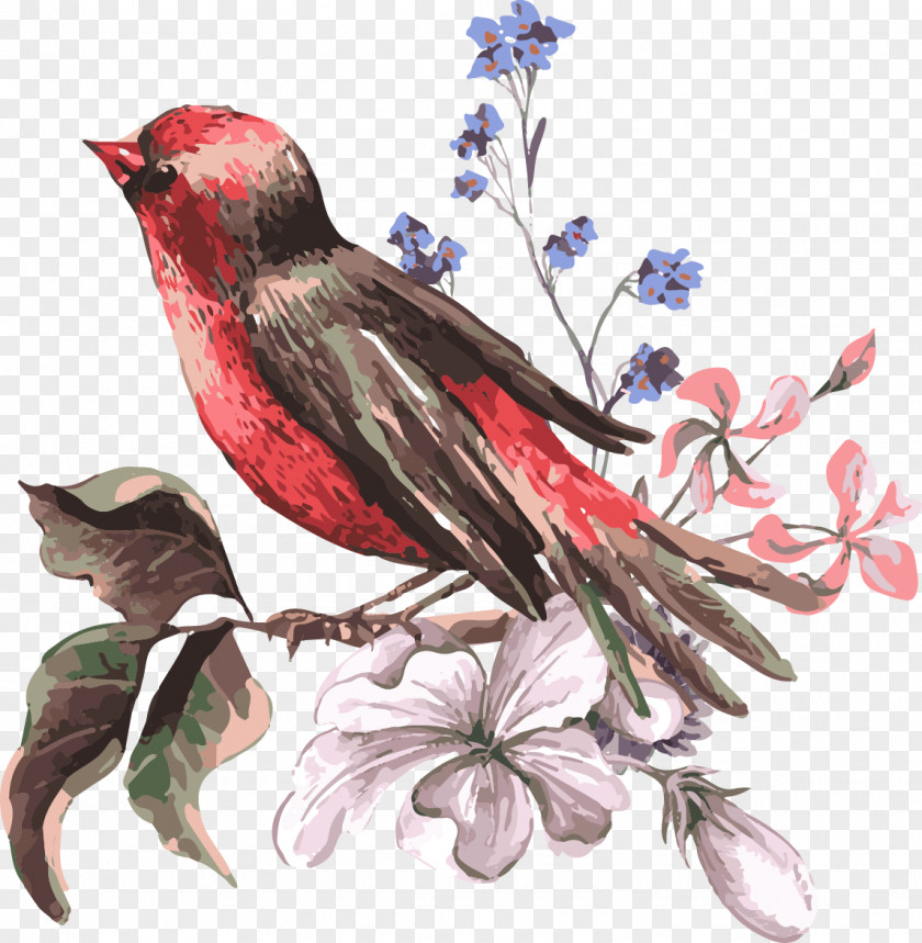 Hand-painted Chinese Style Bird Flower Euclidean Vector Illustration PNG