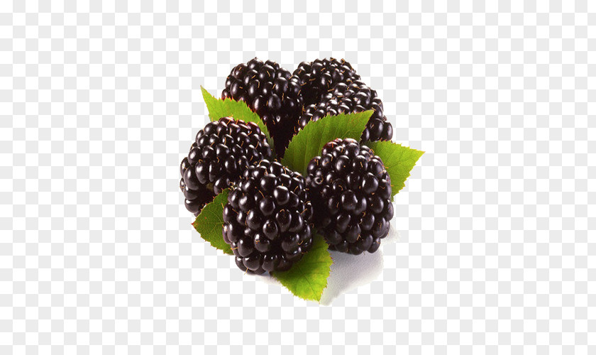 Hurma Blackberry Raspberry Fruit Rubus Nessensis PNG