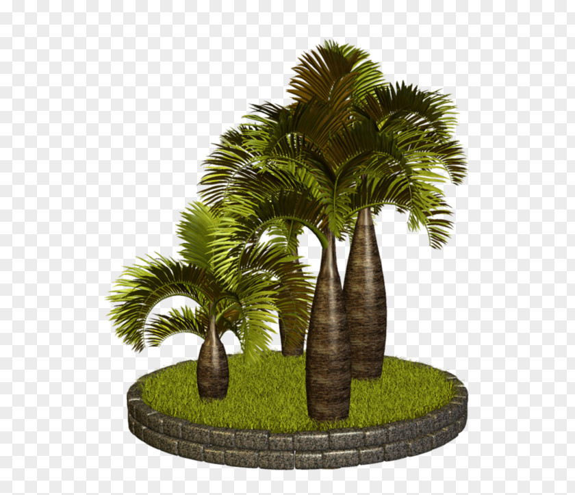Palm Tree Leaves Transparent Clip Art Trees GIF PNG