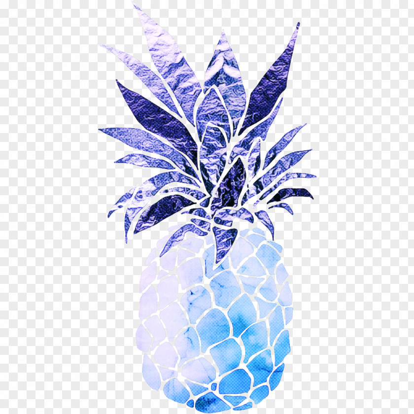 Plant Fruit Blue Flower PNG
