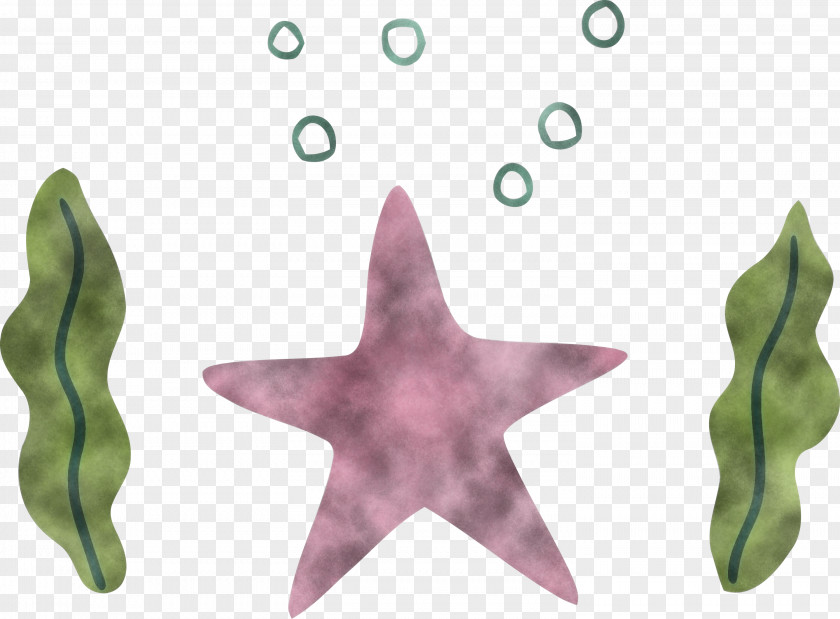 Starfish Leaf Purple Science Plant Structure PNG