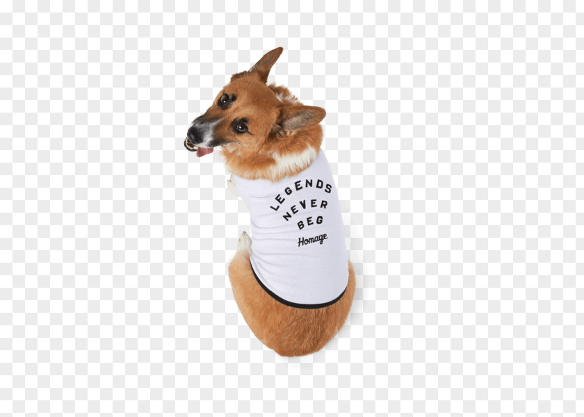 Dog Appreciation Day Breed Puppy Companion Clothes PNG