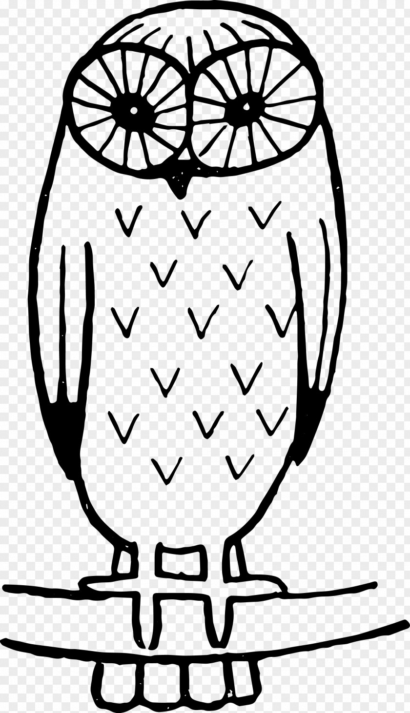 Oh Vector Black-and-white Owl Clip Art PNG