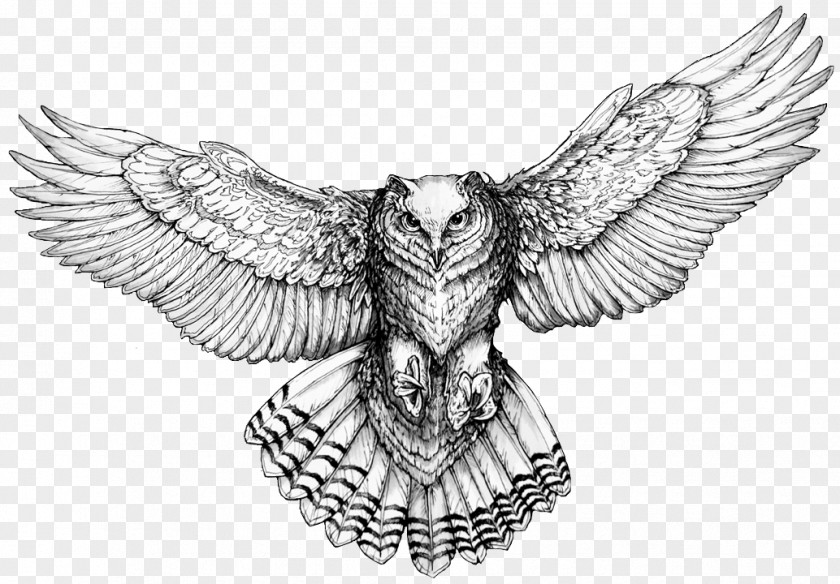Owl Drawings For Tattoos Flash PNG