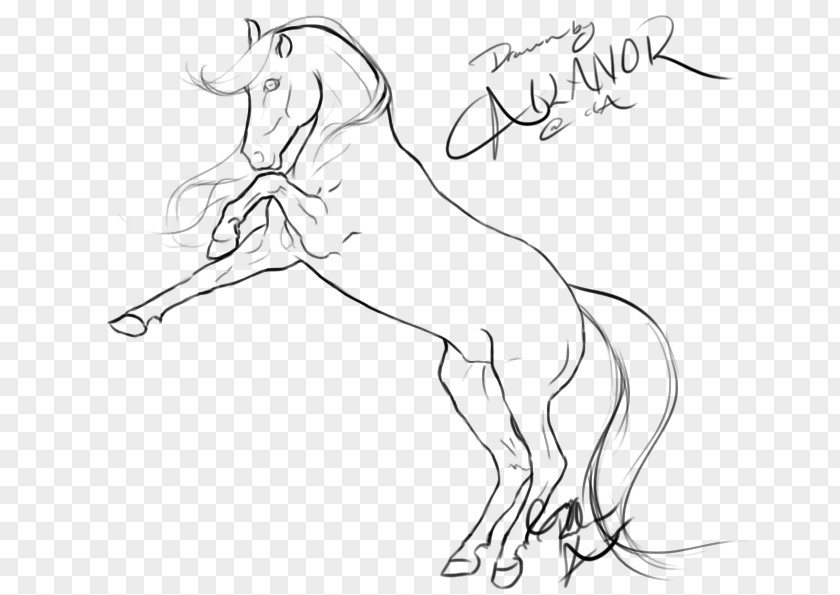 Spirit Horse Rearing Line Art Drawing Mustang Arabian PNG