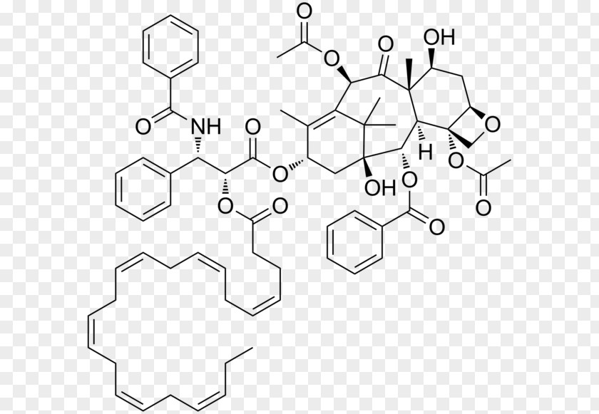 Taxus Paclitaxel Total Synthesis 10-Deacetylbaccatin DHA-paclitaxel Natural Product PNG