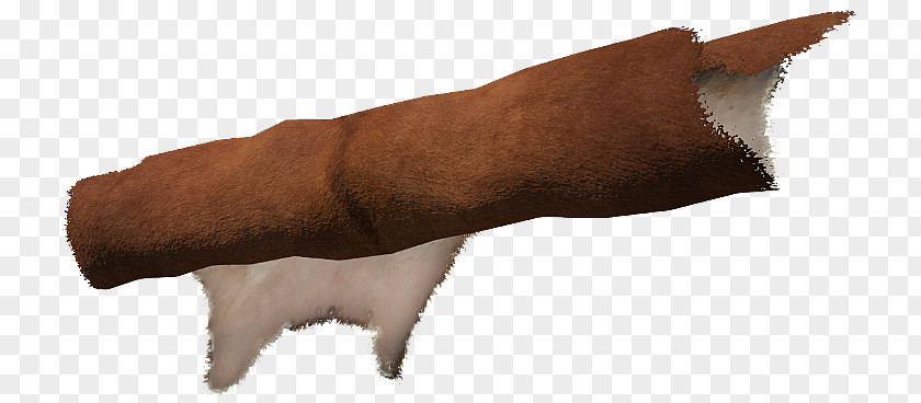 Dog Thumb Fur Snout Claw PNG