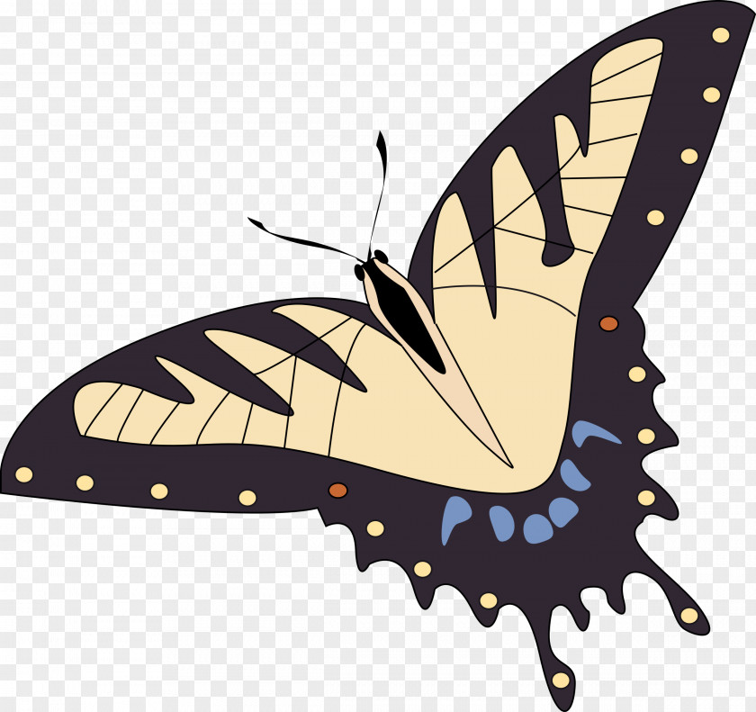 Insect Papillon Dog Monarch Butterfly Clip Art PNG