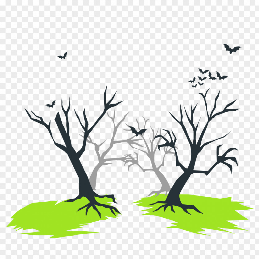 Leaf Birds Twig Tree Plant Stem PNG