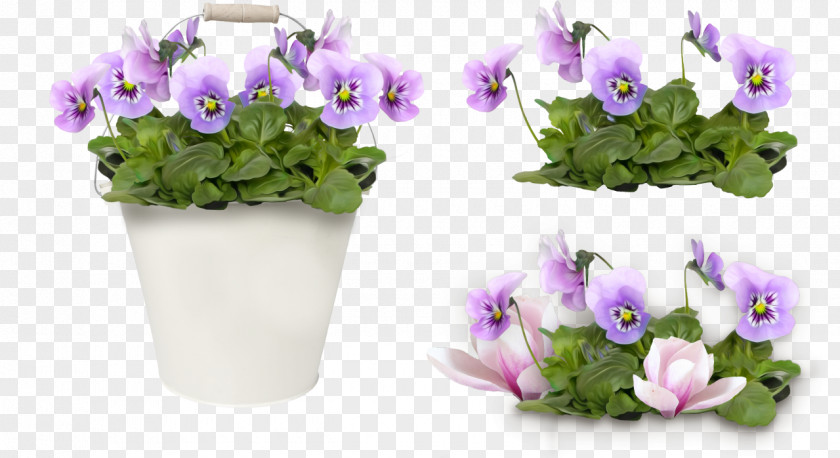Pansy Flower Clip Art PNG