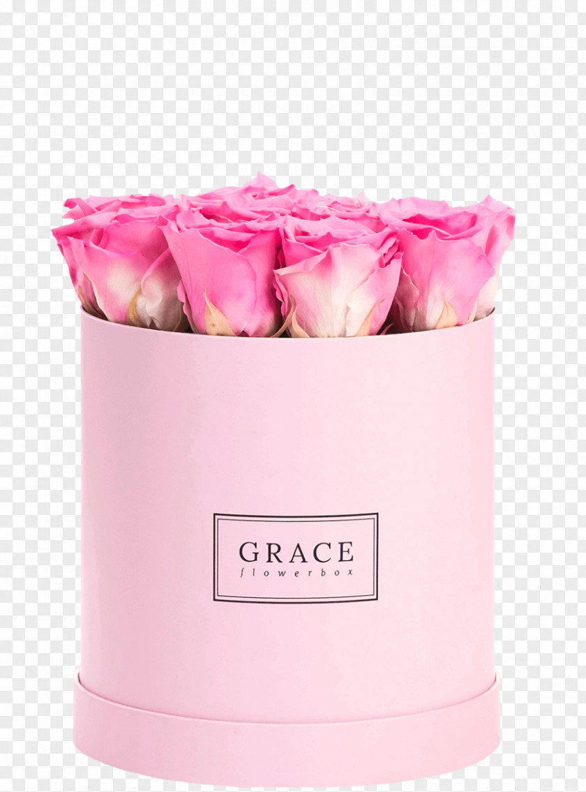 Rose Flower Box English Pink Blue PNG