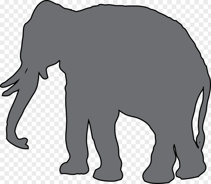 Sea Animals African Elephant Animal Indian Bear PNG