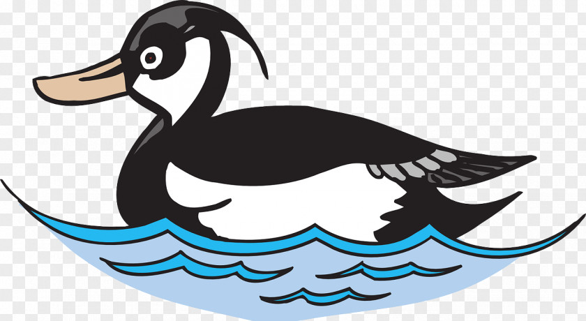 Black Duck Clip Art PNG