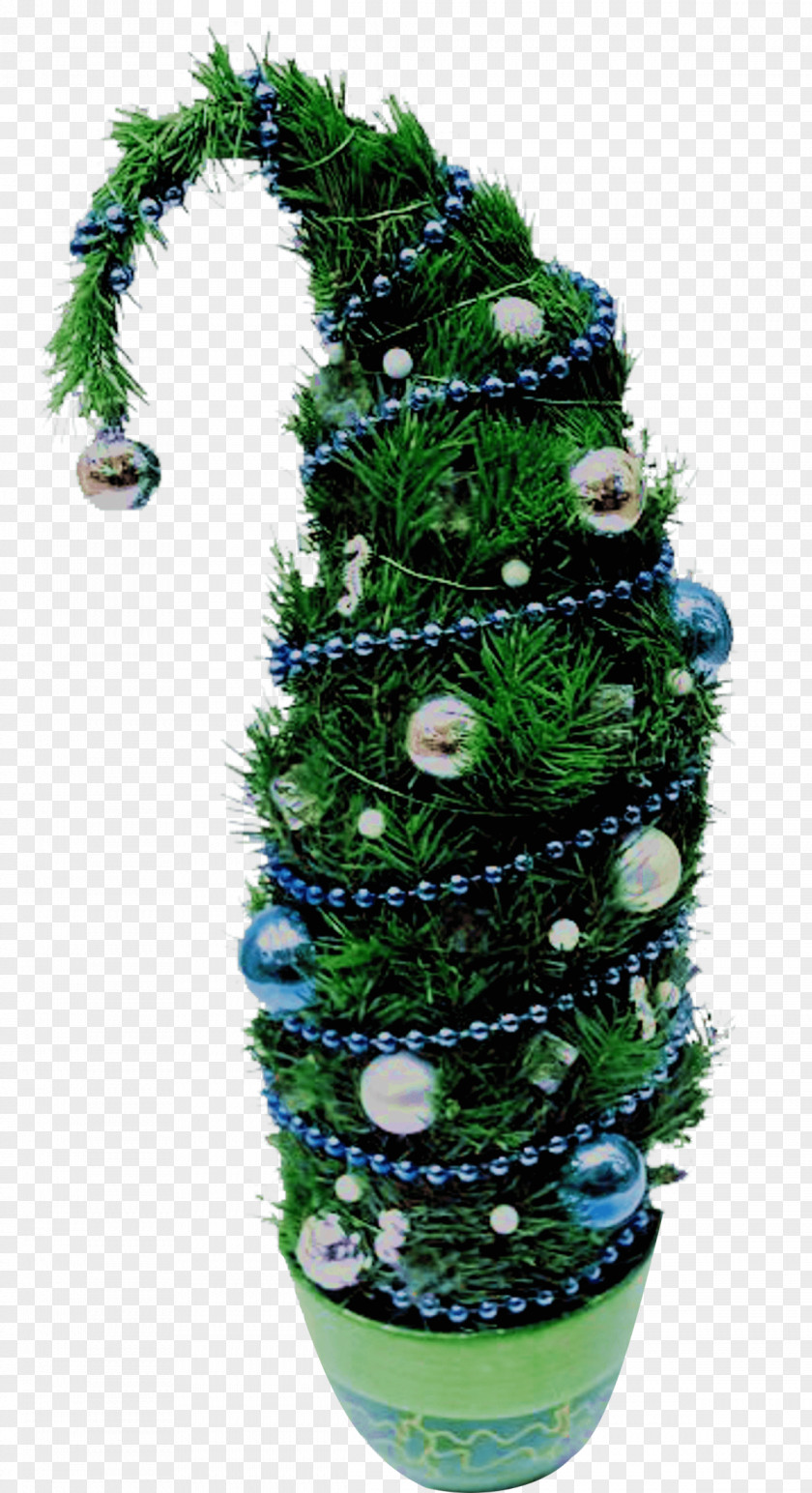 Christmas Tree Spruce Day Ornament Fir PNG