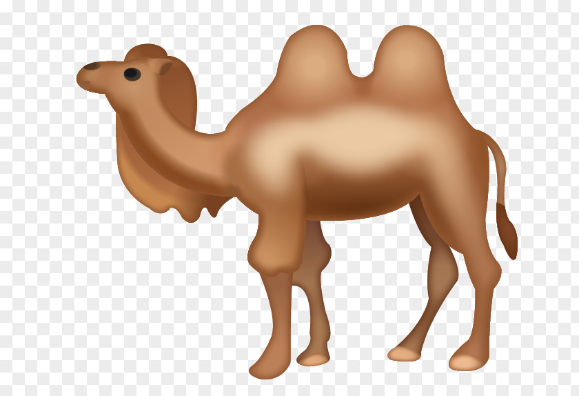 Emoji Dromedary Bactrian Camel IPhone PNG
