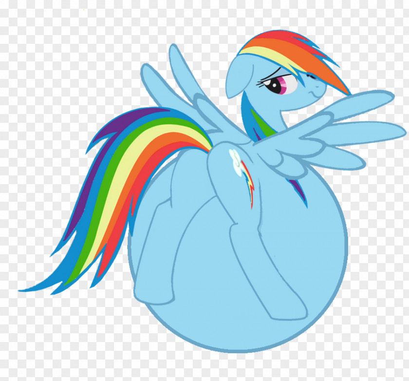 My Little Pony Rainbow Dash Pinkie Pie Twilight Sparkle Applejack Rarity PNG