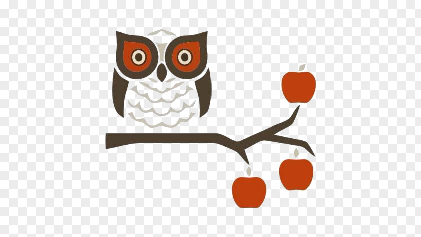 Owl Bird Logo Creativity PNG