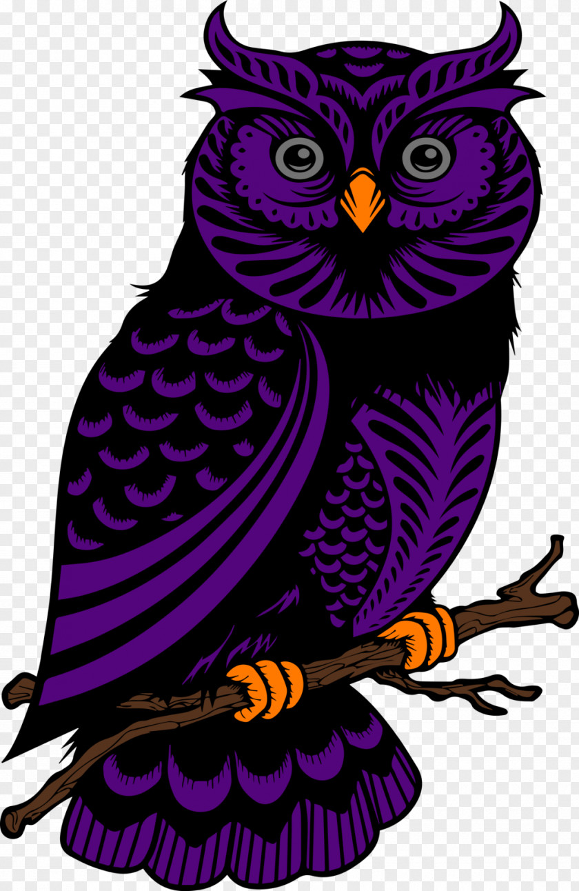 Owl Drawing Silhouette PNG