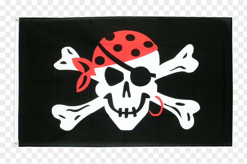 Pirate Flag Jolly Roger Flags Of The World Piracy Buccaneer PNG