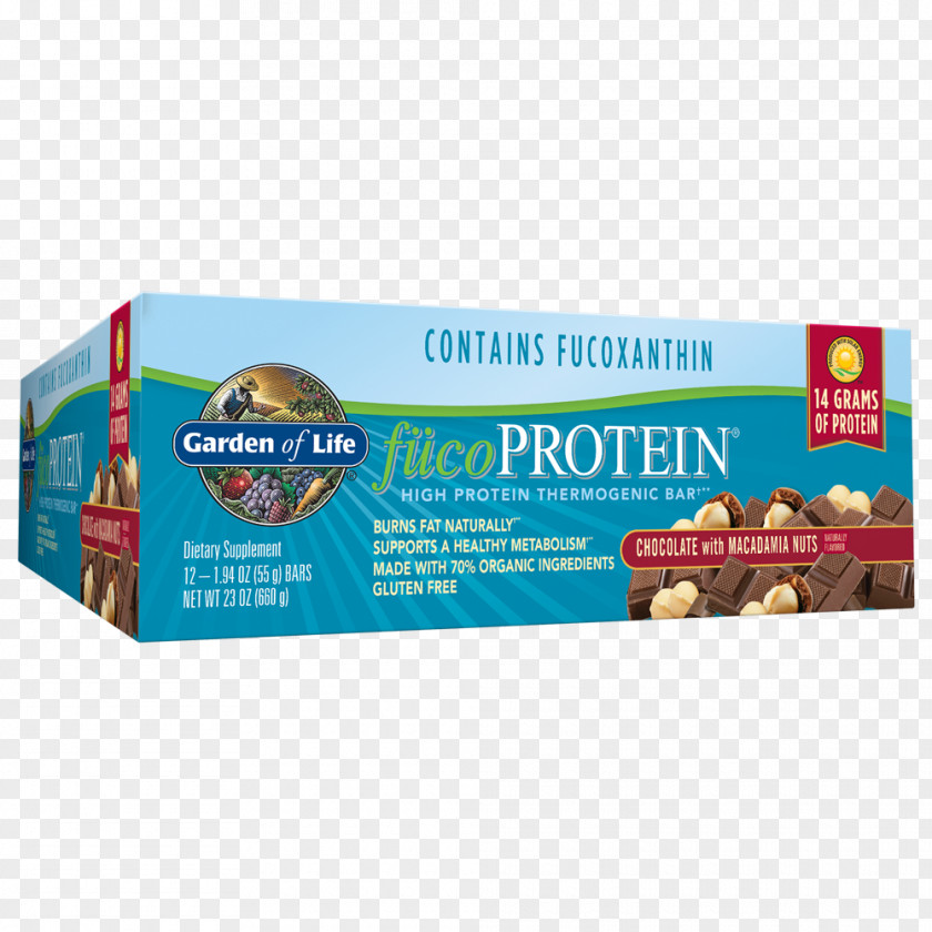 Chocolate Dietary Supplement Protein Bar Macadamia Nut PNG