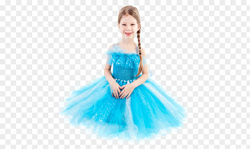 Elsa Tutu Dress Anna Suit PNG
