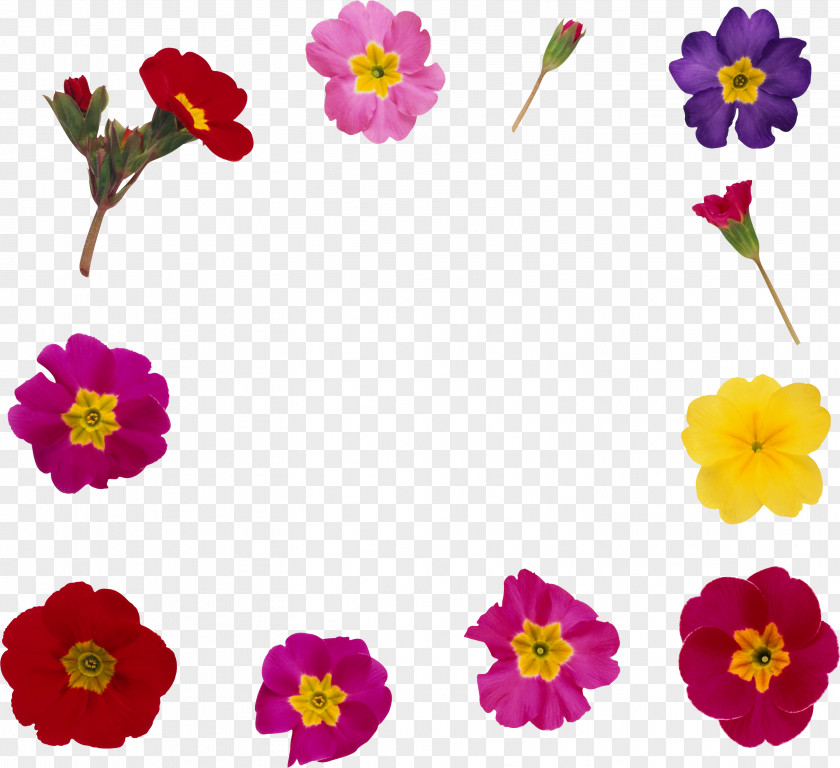 Flower Frame Picture Frames Clip Art PNG