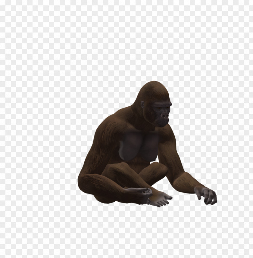 Gorilla Chimpanzee Primate Animal PNG