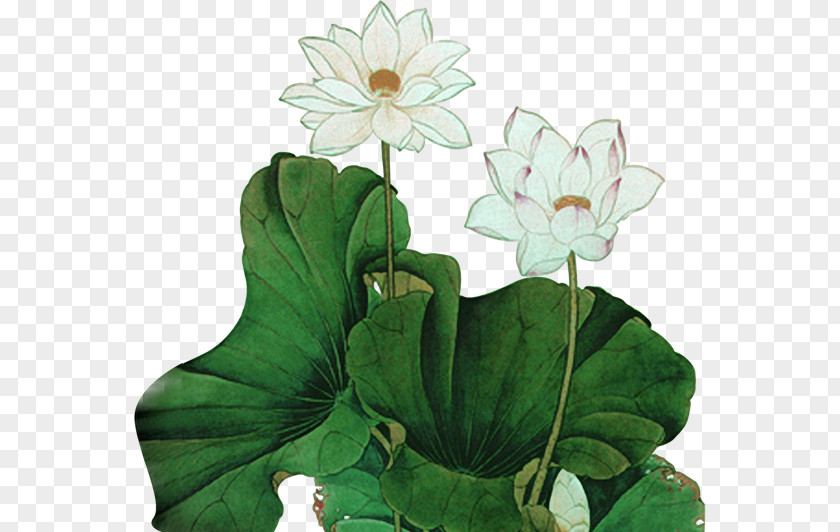 Lotus Leaf Chinese Painting Nelumbo Nucifera Ink Wash Yixing Clay Teapot PNG
