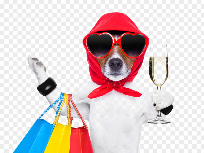 Shopping Pet Dog Cart Stock Photography Shop PNG