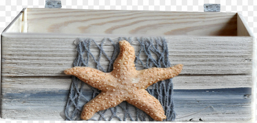 Starfish Wooden Wood Fishing Net PNG