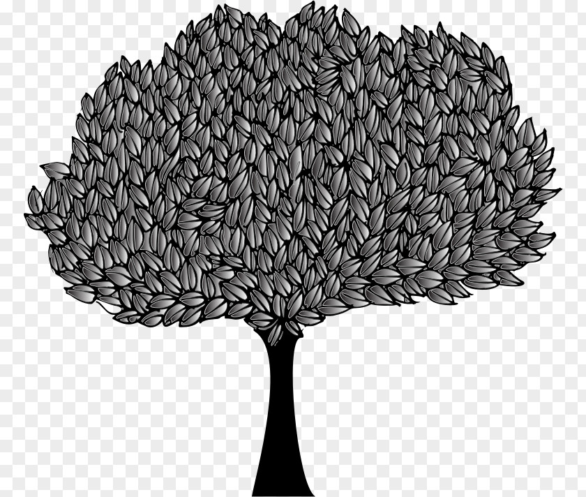 Tree The Great Banyan Clip Art Vector Graphics Image PNG