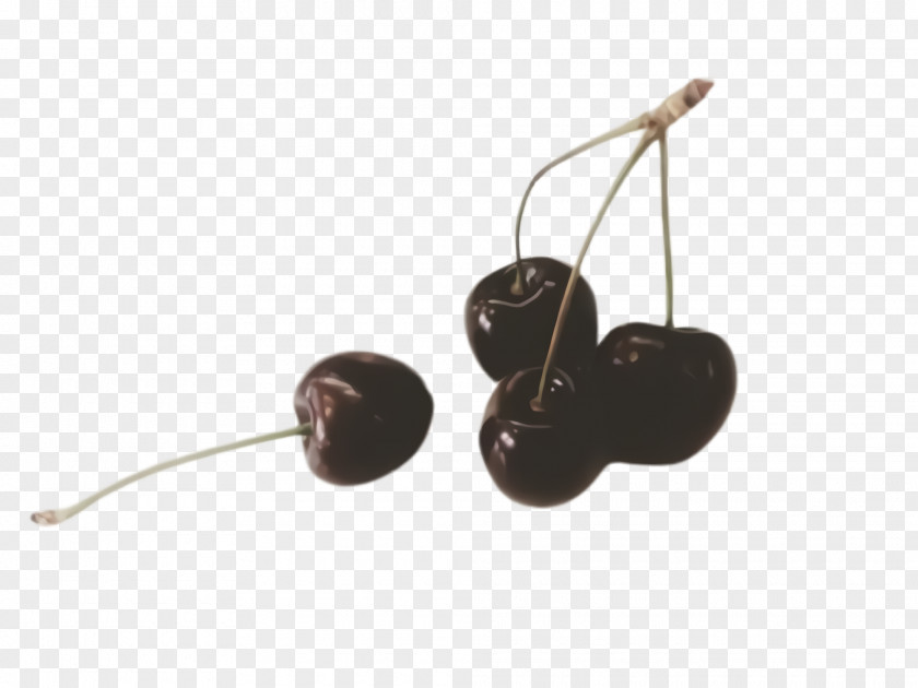 Cherry Plant PNG