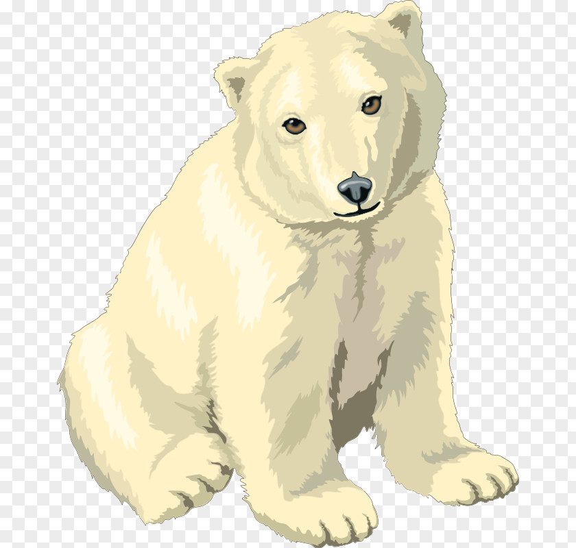 Clip On Bears Polar Bear Giant Panda Art PNG