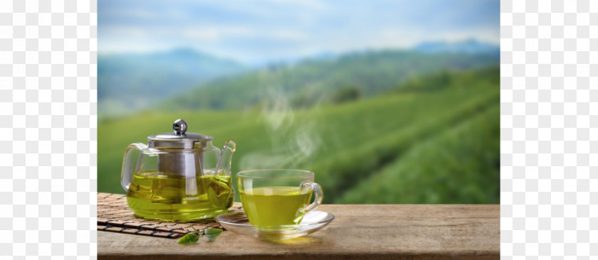 Green Tea Masala Chai Health Breakfast PNG