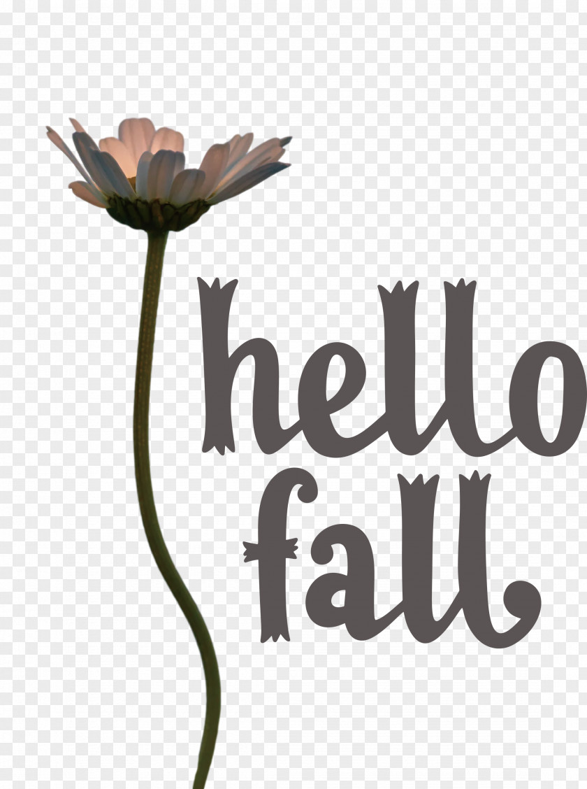 Hello Fall Fall Autumn PNG