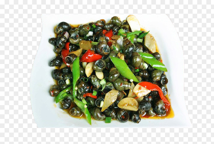 Qinghong Pepper Stir Fry Snail Chinese Cuisine Hot And Sour Soup Viviparidae Capsicum Annuum Frying PNG