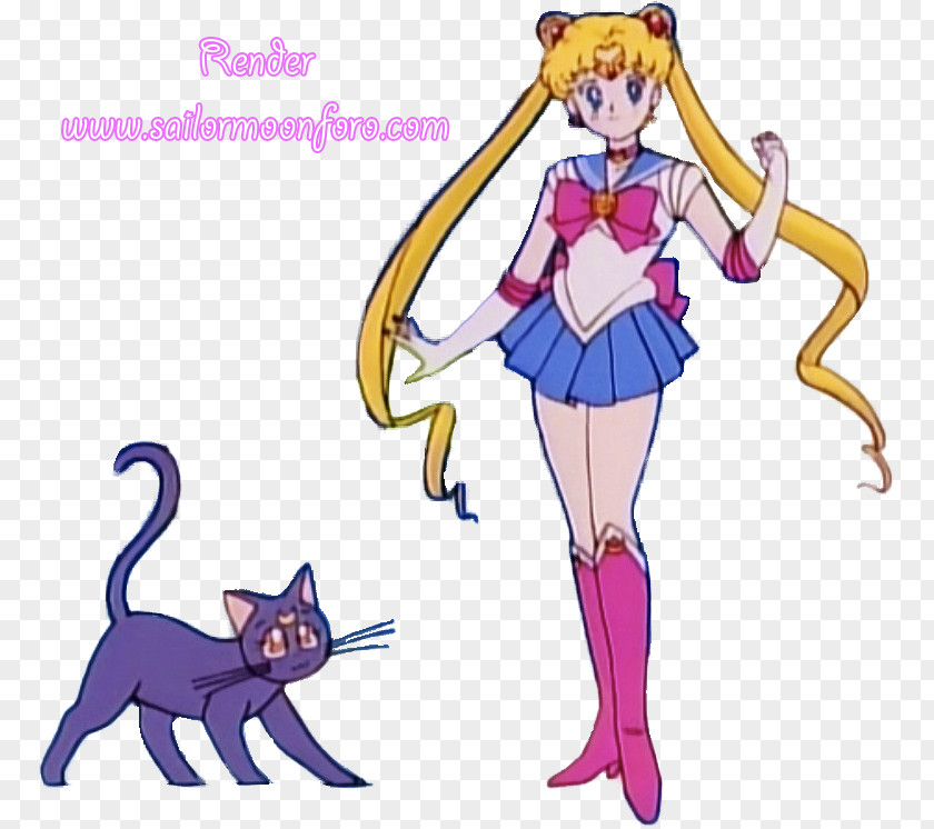 Sailor Moon Luna Saturn Chibiusa Starlights PNG