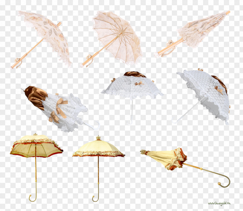 Umbrella Clothing Accessories Clip Art PNG