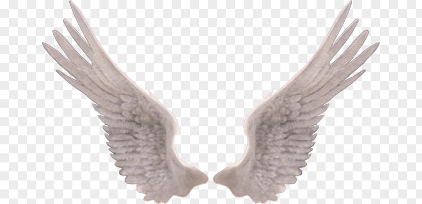 Wing Guardian Angel Drawing Painting PNG