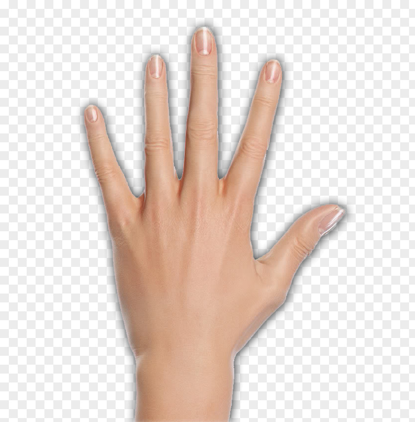 Woman Thumb Hand Model Palmistry PNG