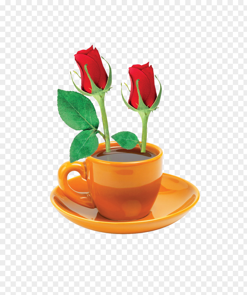 Coffee Rose PNG