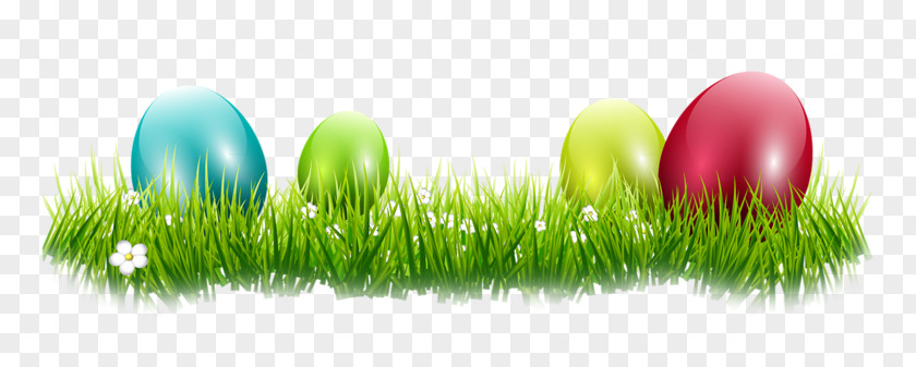 Easter Egg Desktop Wallpaper PNG