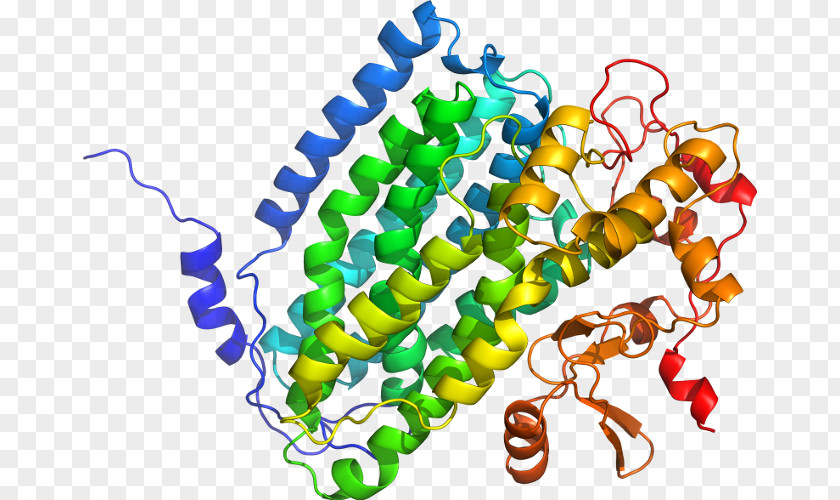 FNTA FNTB Farnesyltransferase Geranylgeranyltransferase Type 1 Enzyme PNG