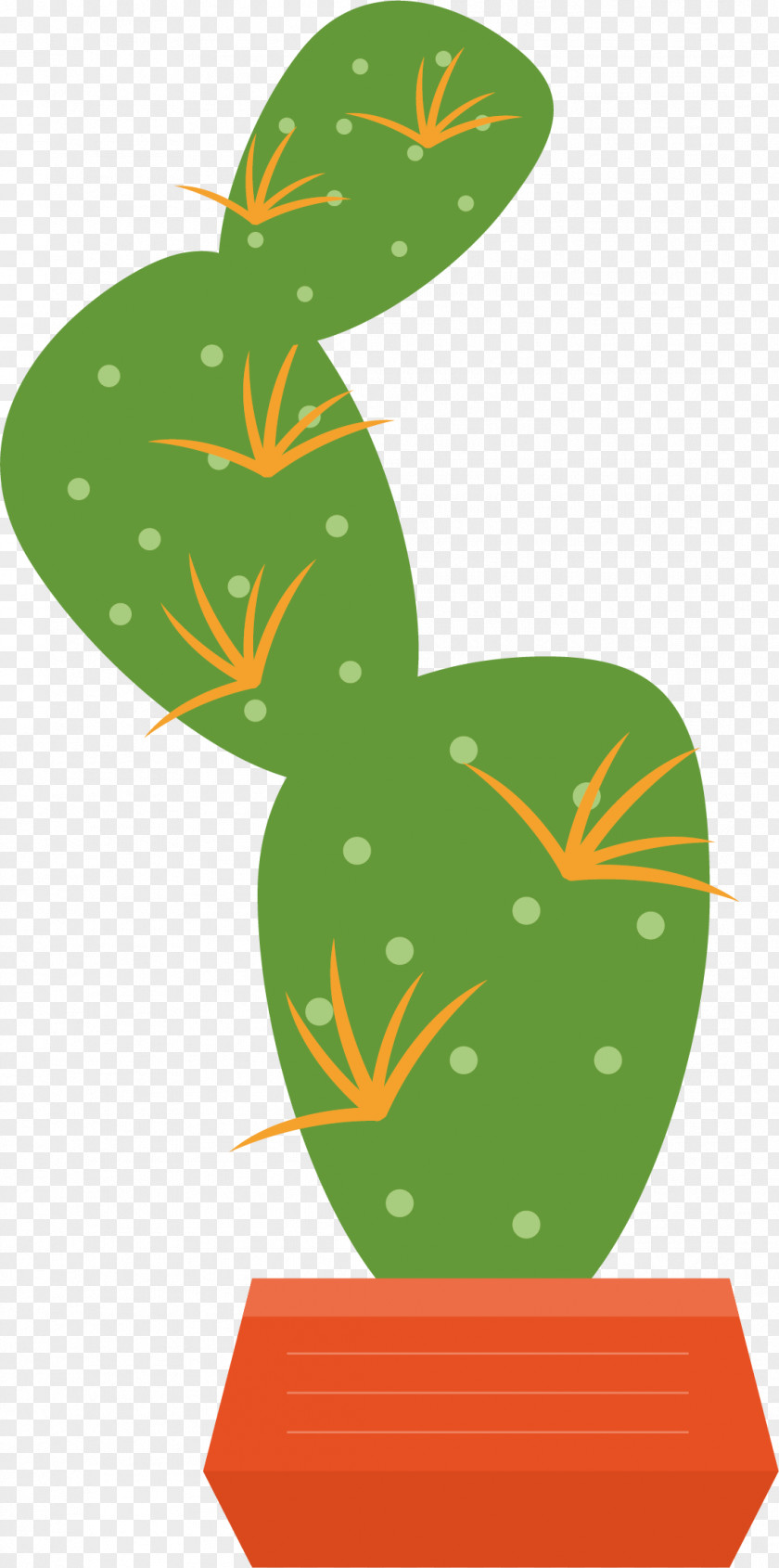 Green Cactus Vector Euclidean Cactaceae Illustration PNG