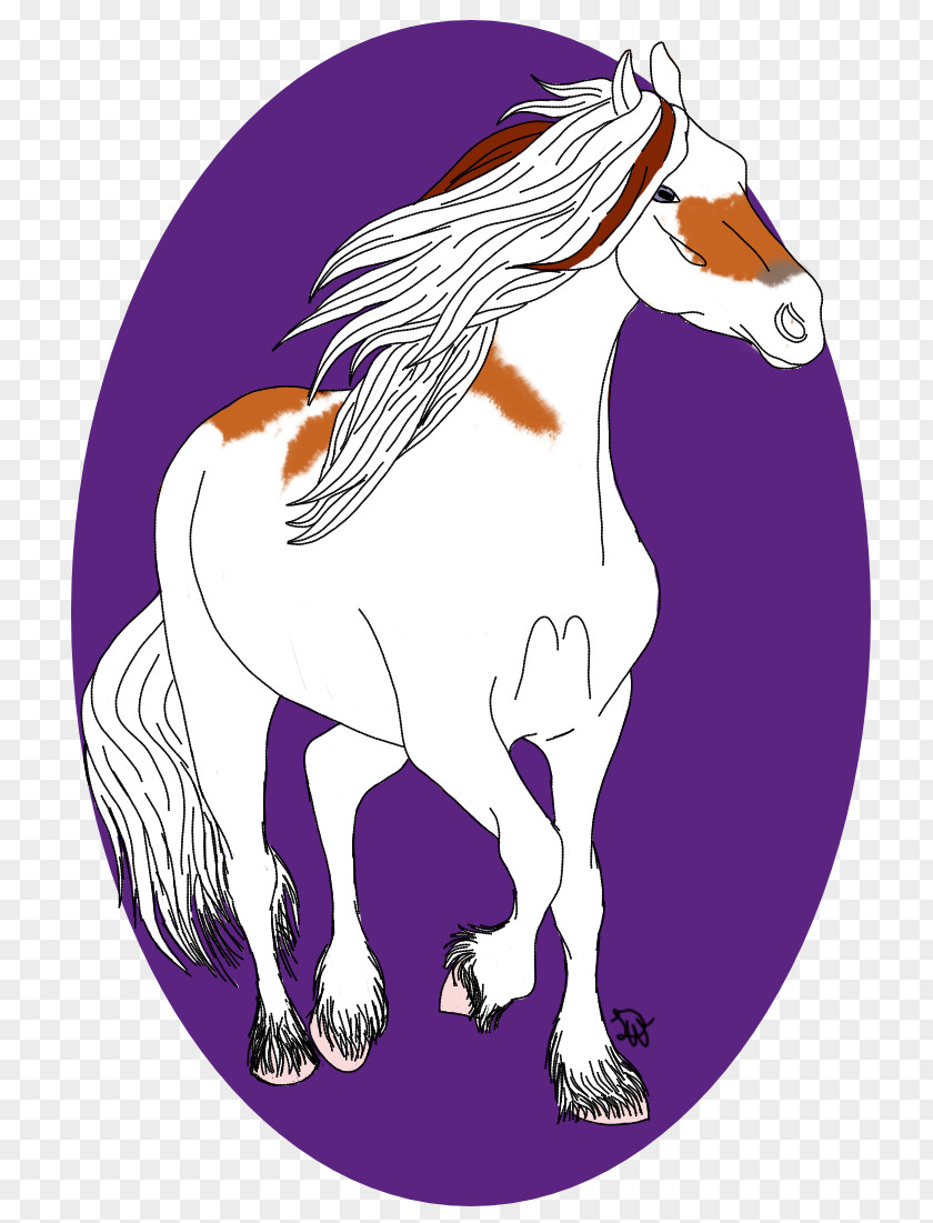 Mustang Stallion Pony Clip Art Illustration PNG