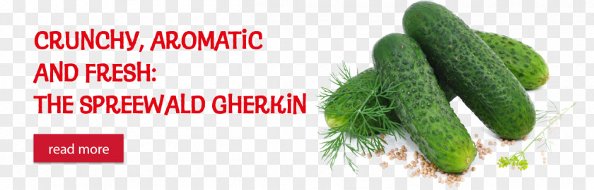 Spreewald Gherkins Pickled Cucumber Natural Foods Diet Food PNG