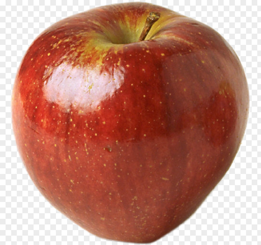 Apple Fruit Fuji PNG